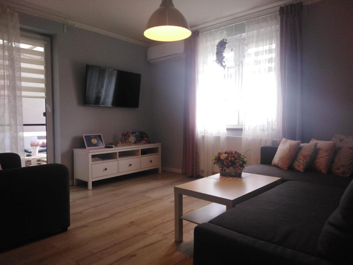 Apartament Antek Klimatyzowany Освенцим Экстерьер фото