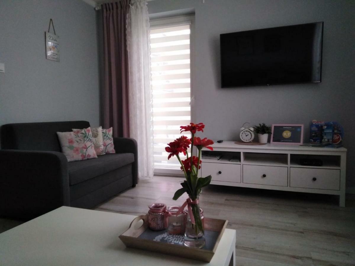 Apartament Antek Klimatyzowany Освенцим Экстерьер фото
